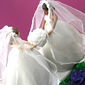  un mariage homosexuel symbolique clbr devant la mairie de Morlaix - Prsidentielle 